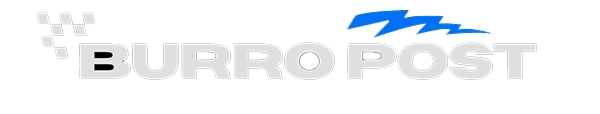 Offroad and race cars for sale Burropost